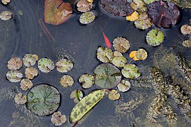 成你所惧：万智牌新系列《依尼翠：黯夜猎踪》发布